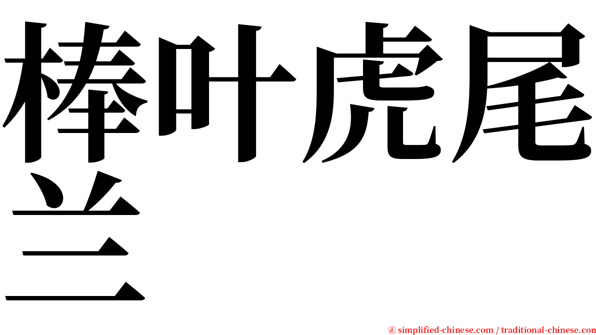 棒叶虎尾兰 serif font
