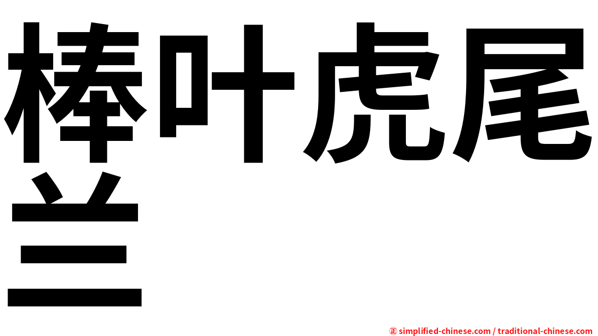 棒叶虎尾兰