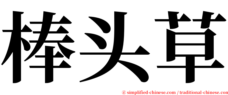棒头草 serif font