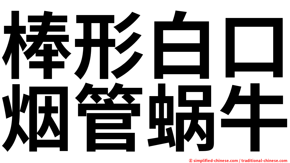 棒形白口烟管蜗牛