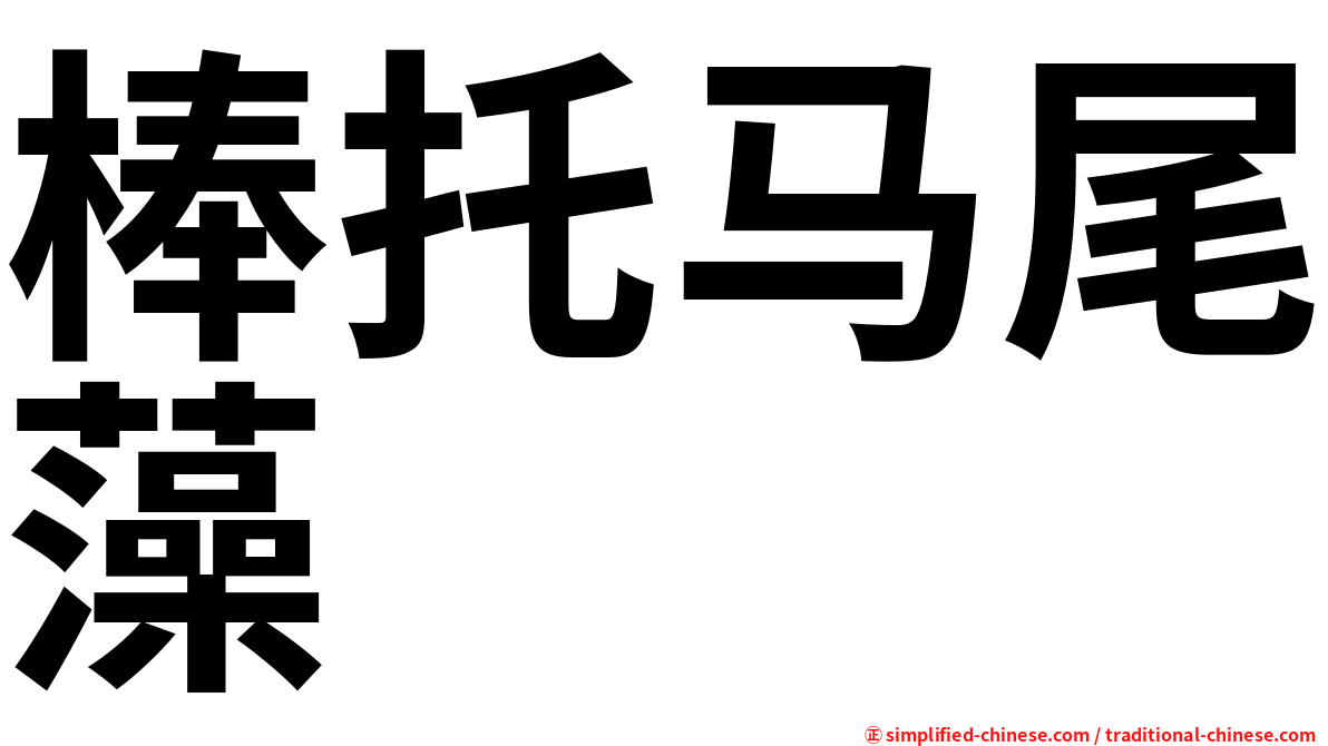 棒托马尾藻