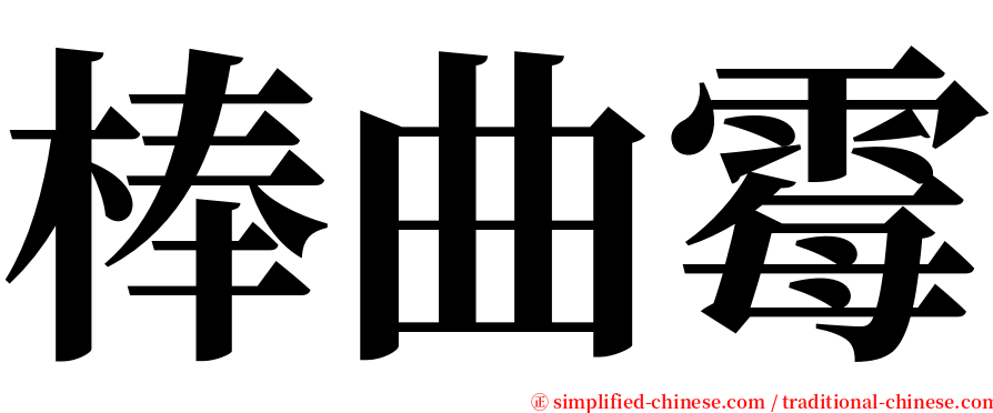 棒曲霉 serif font