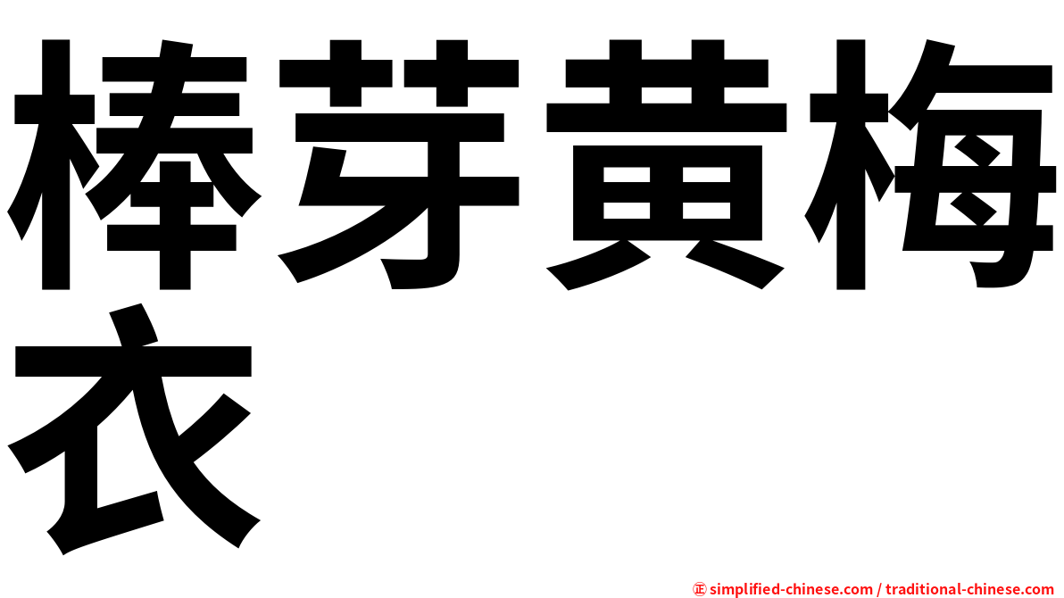 棒芽黄梅衣