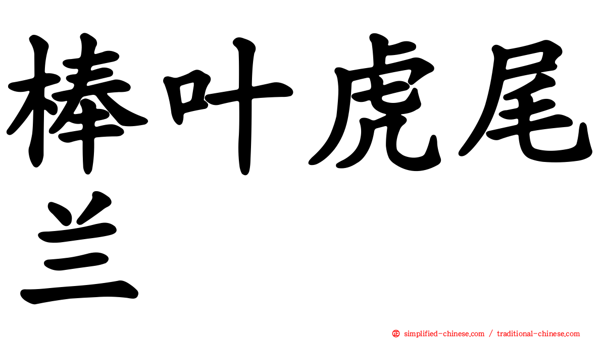 棒叶虎尾兰