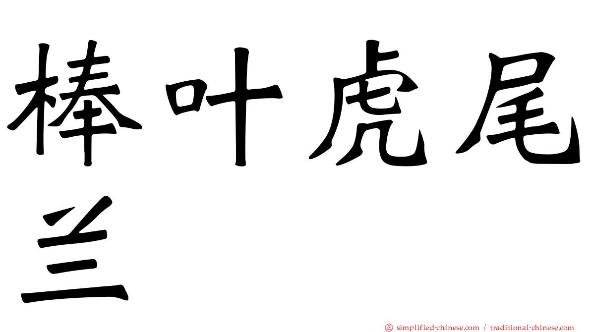棒叶虎尾兰