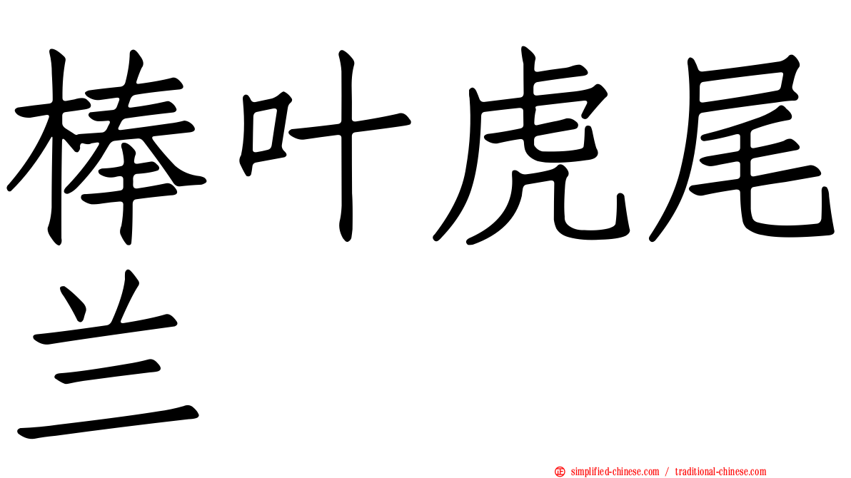 棒叶虎尾兰