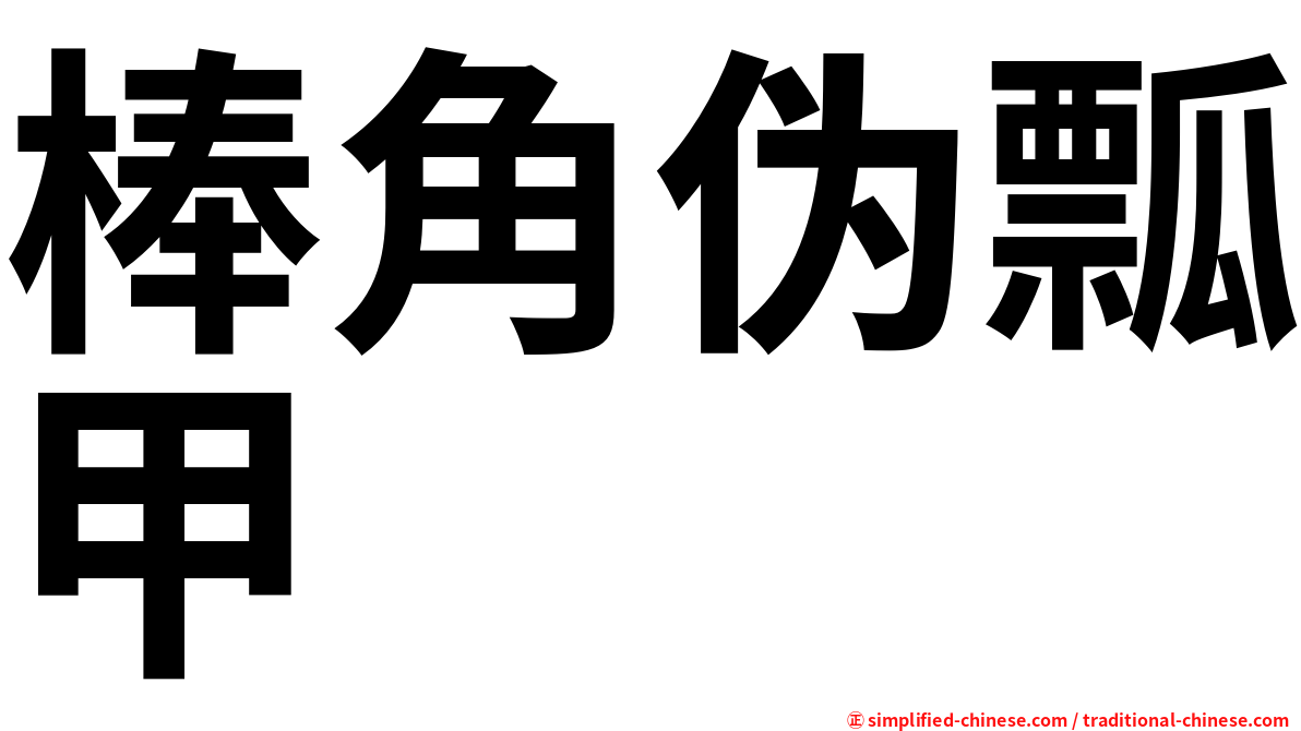 棒角伪瓢甲