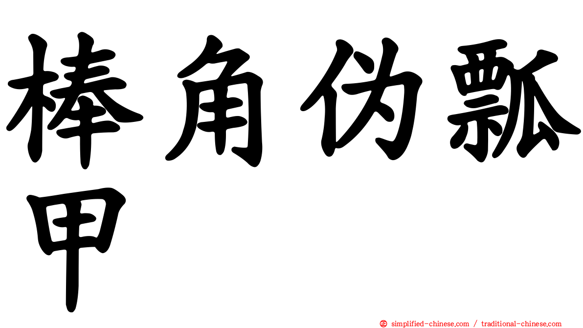 棒角伪瓢甲
