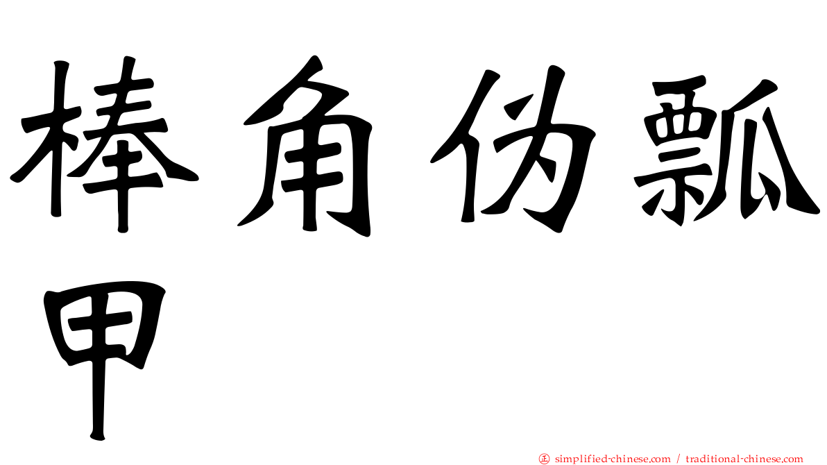 棒角伪瓢甲