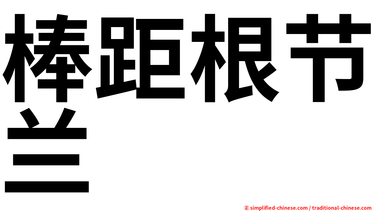 棒距根节兰