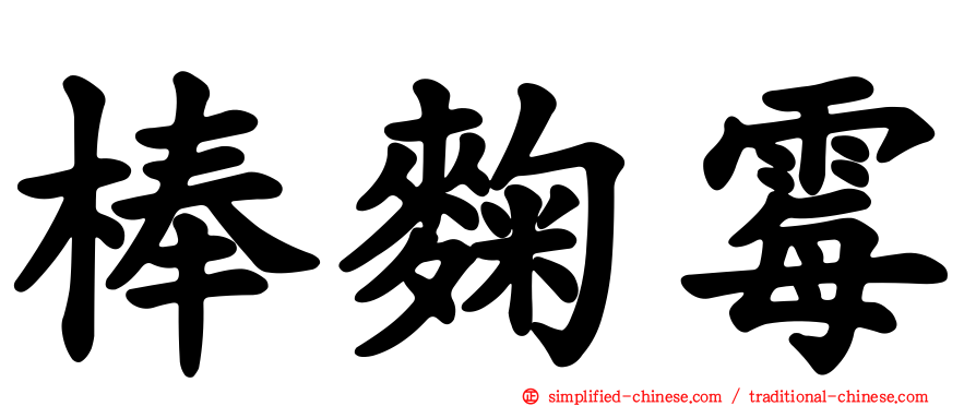 棒曲霉