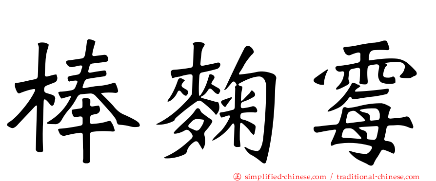 棒曲霉