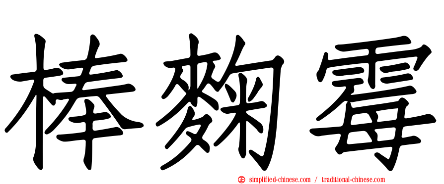 棒曲霉