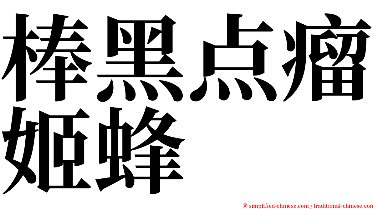 棒黑点瘤姬蜂 serif font