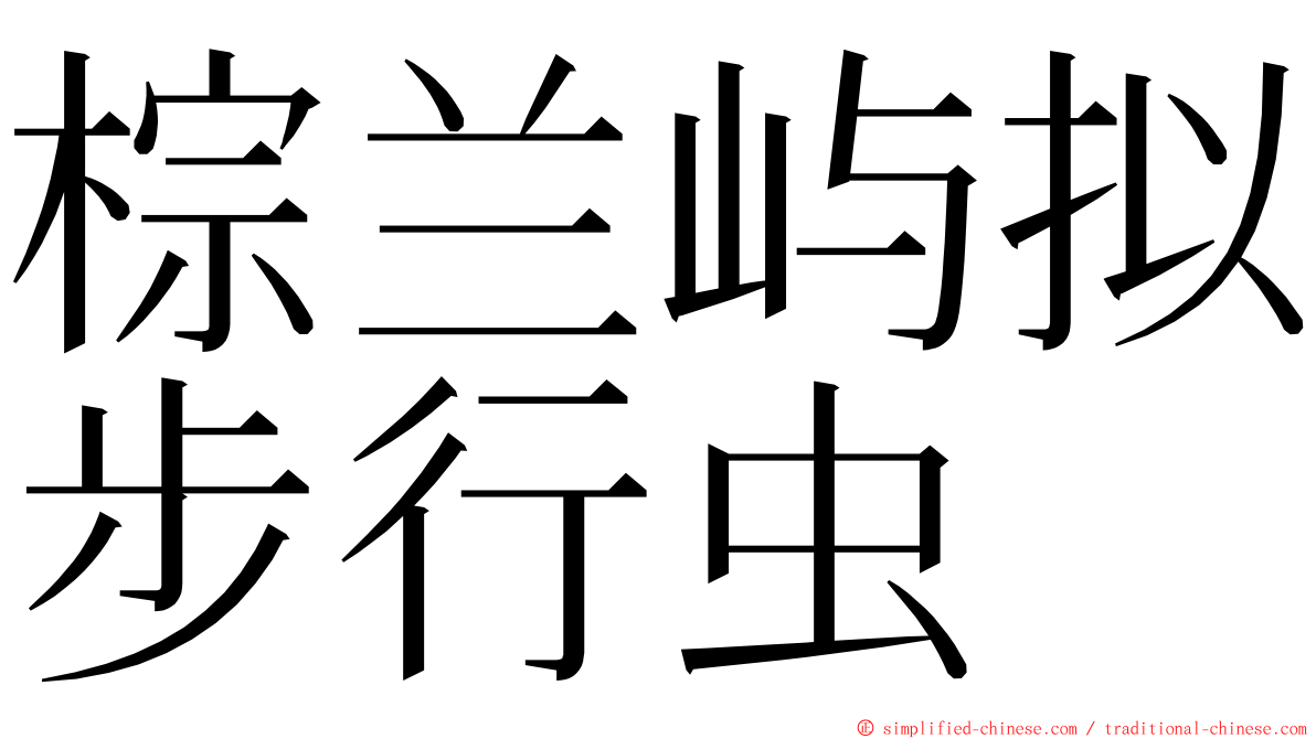 棕兰屿拟步行虫 ming font