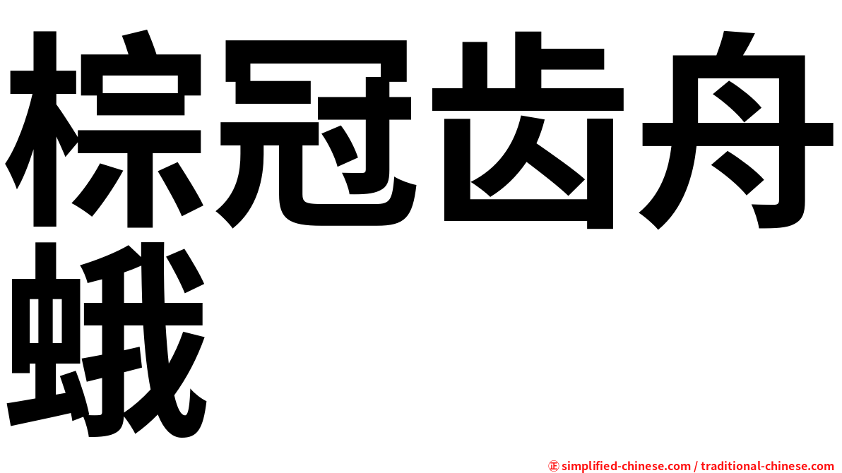 棕冠齿舟蛾