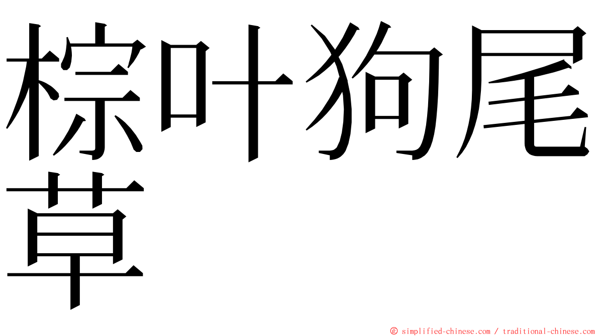 棕叶狗尾草 ming font