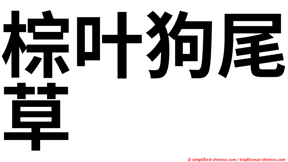棕叶狗尾草