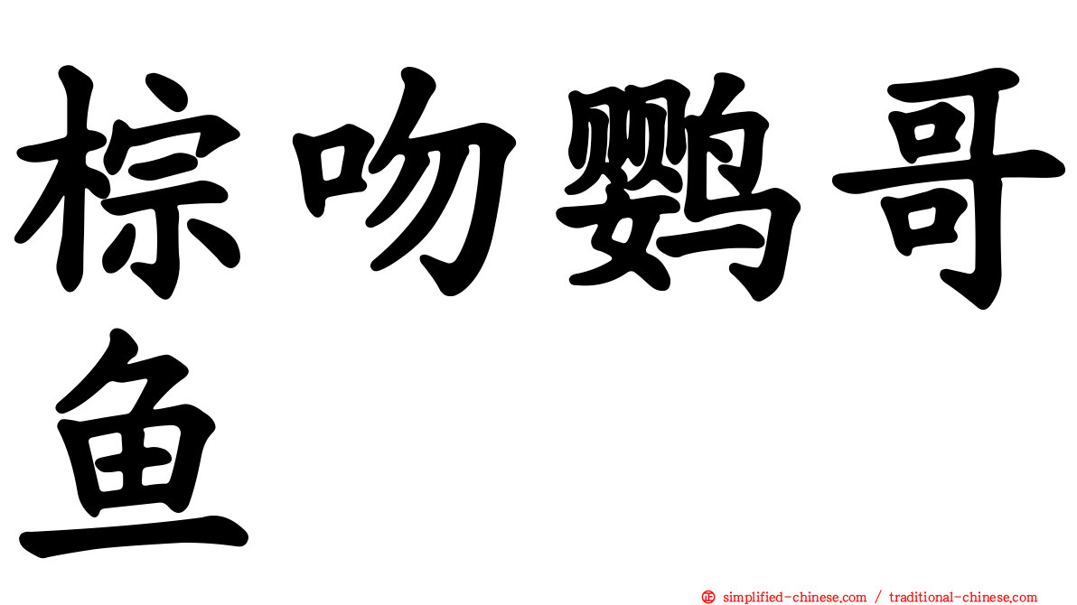棕吻鹦哥鱼