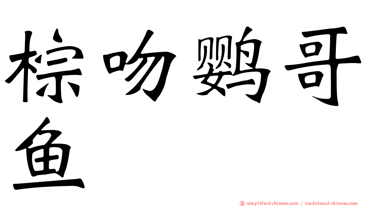 棕吻鹦哥鱼