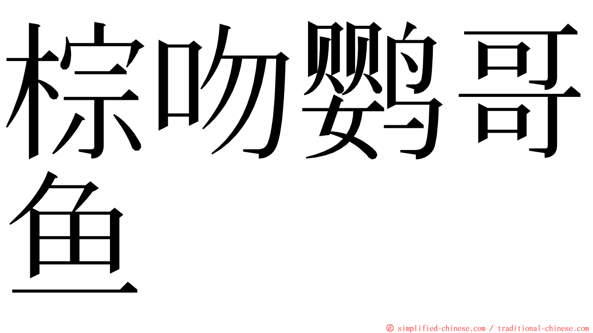 棕吻鹦哥鱼 ming font