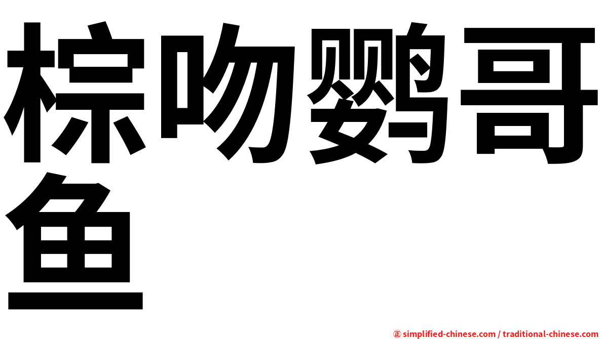 棕吻鹦哥鱼