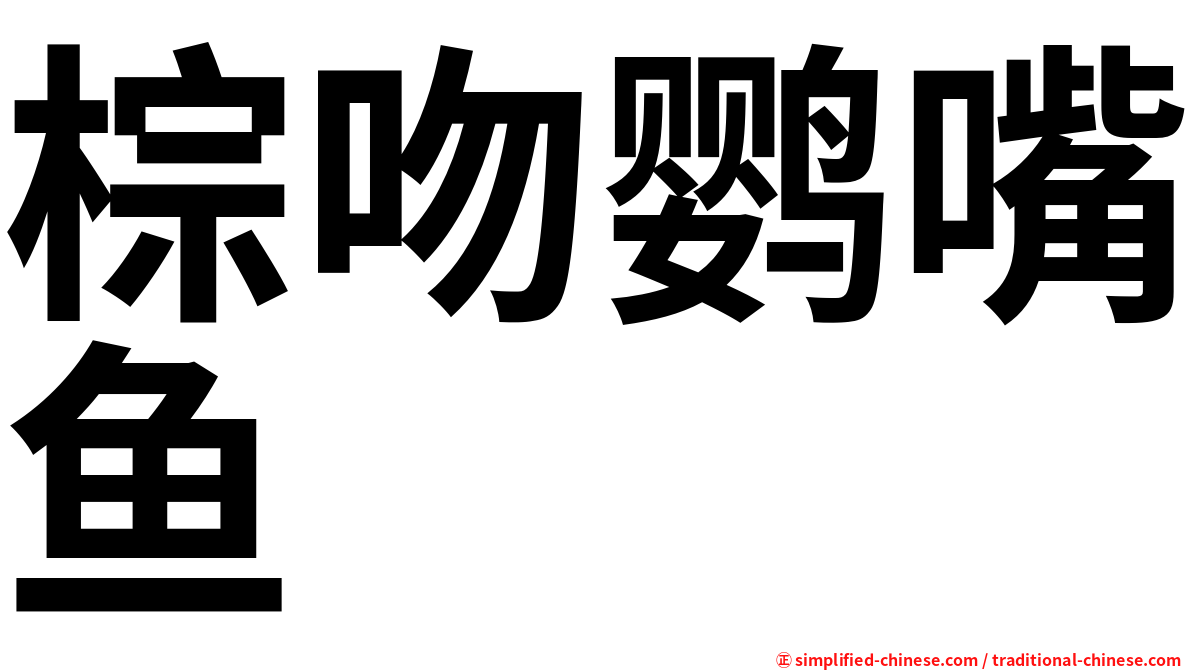 棕吻鹦嘴鱼