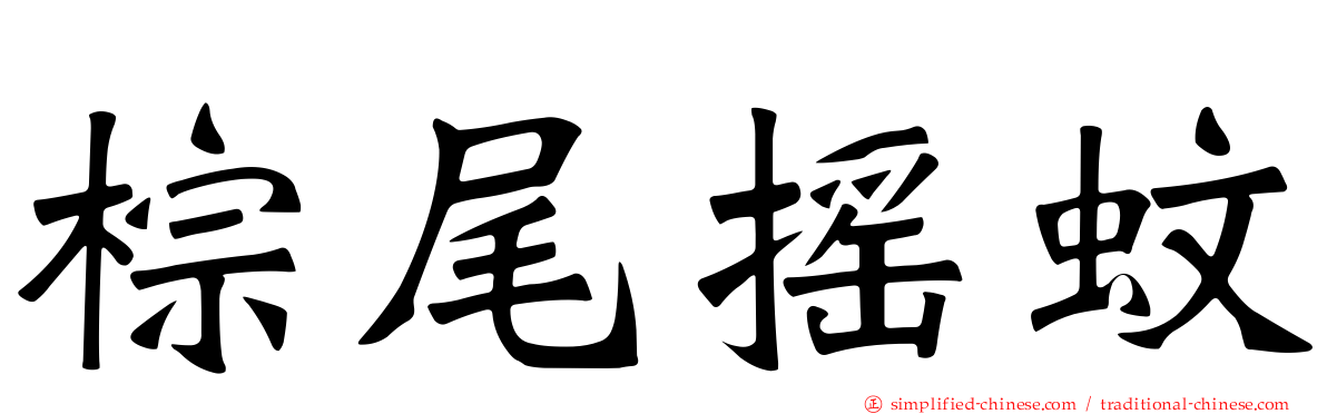 棕尾摇蚊
