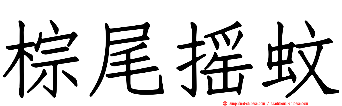 棕尾摇蚊