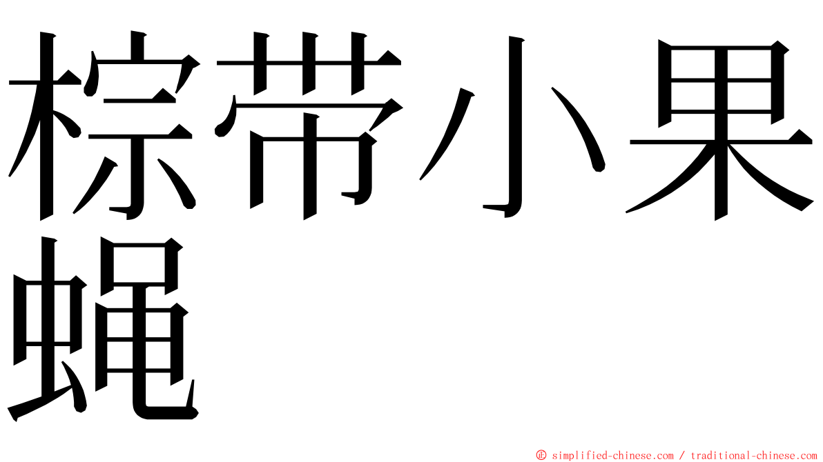 棕带小果蝇 ming font