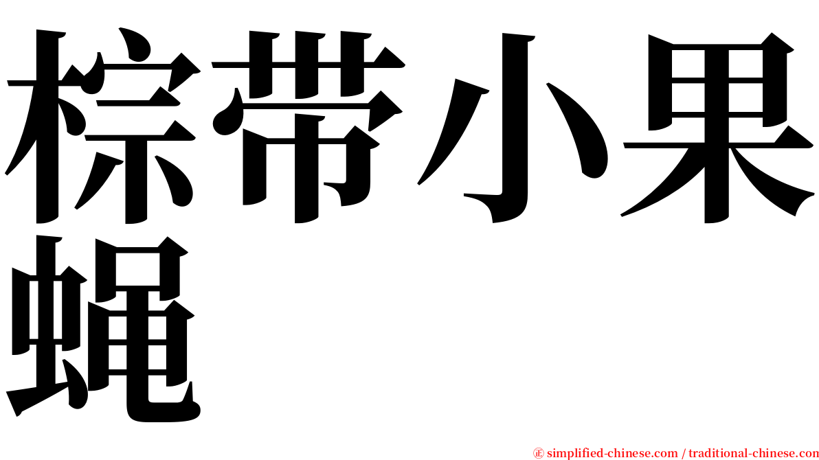 棕带小果蝇 serif font