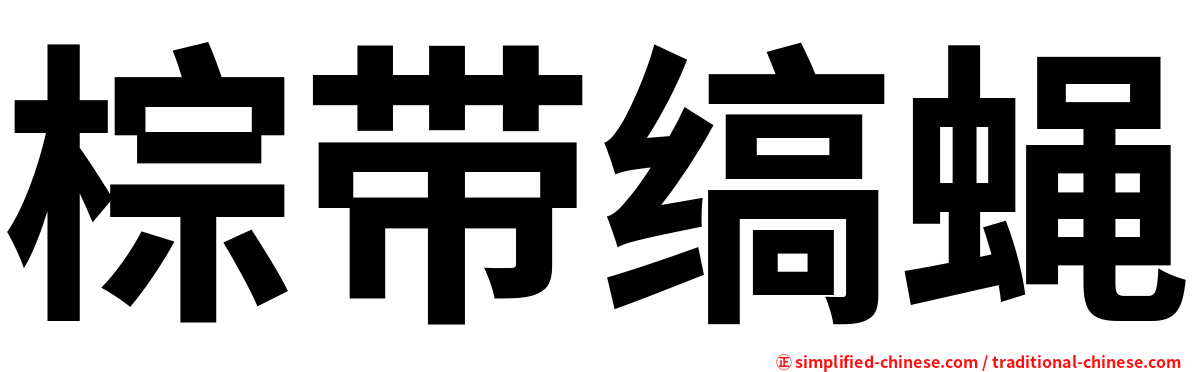 棕带缟蝇