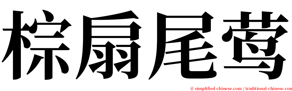 棕扇尾莺 serif font