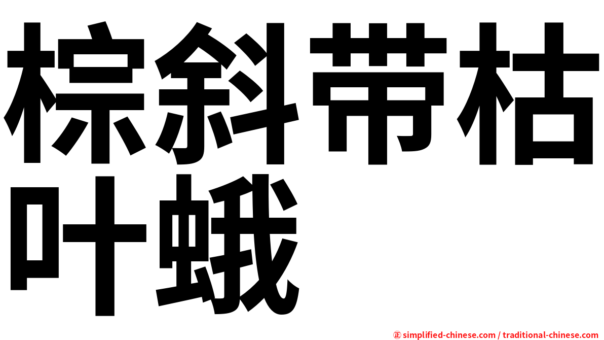 棕斜带枯叶蛾