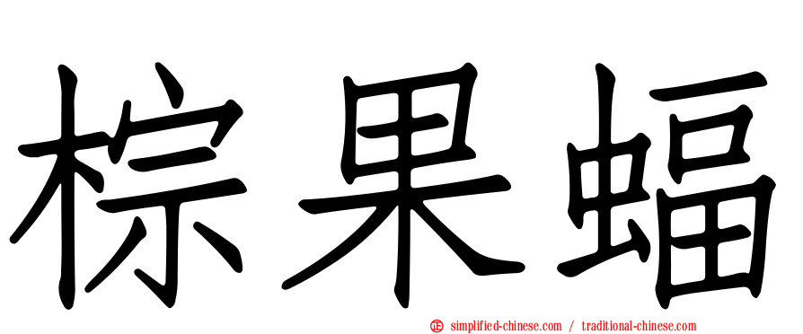 棕果蝠
