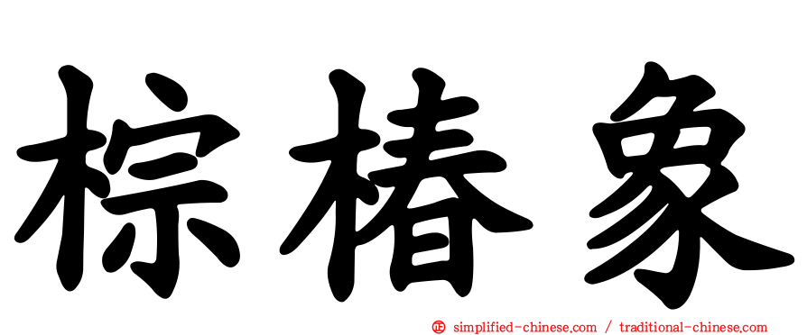 棕椿象