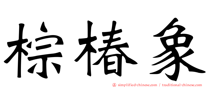 棕椿象