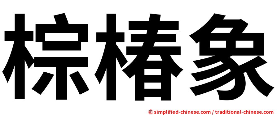 棕椿象