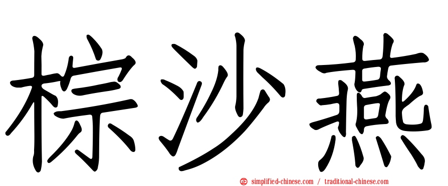 棕沙燕