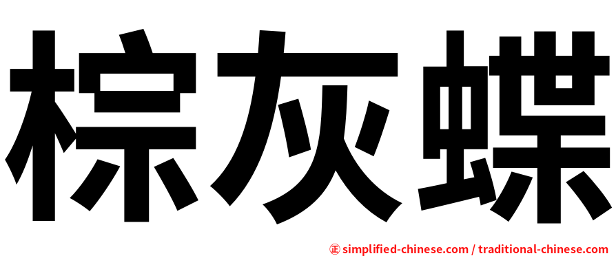 棕灰蝶