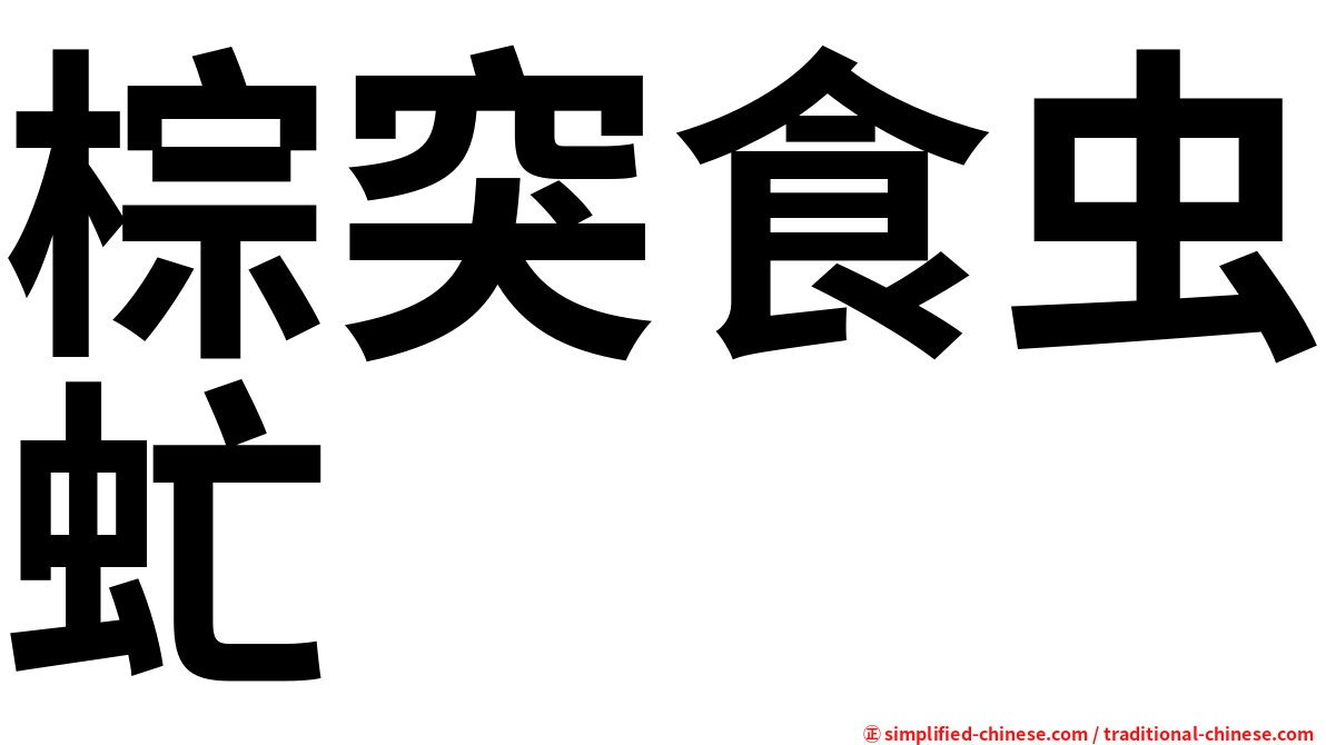 棕突食虫虻