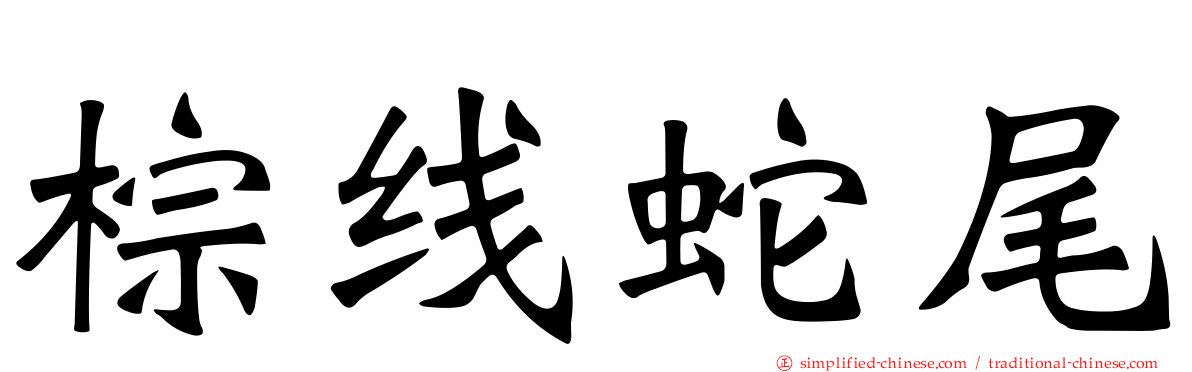 棕线蛇尾