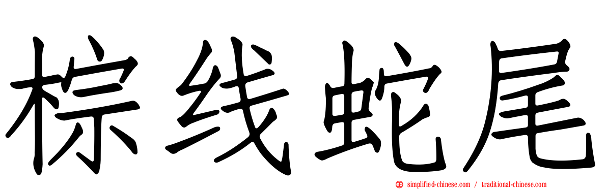 棕线蛇尾