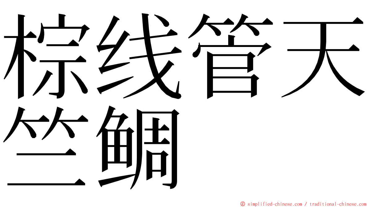 棕线管天竺鲷 ming font