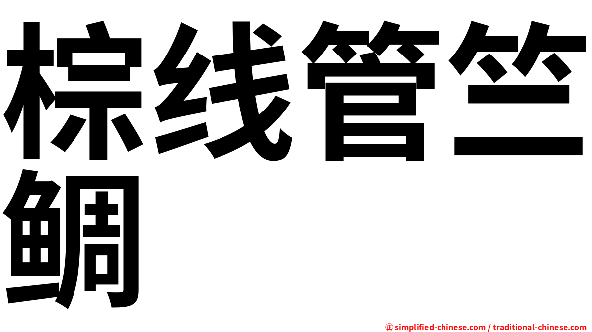 棕线管竺鲷