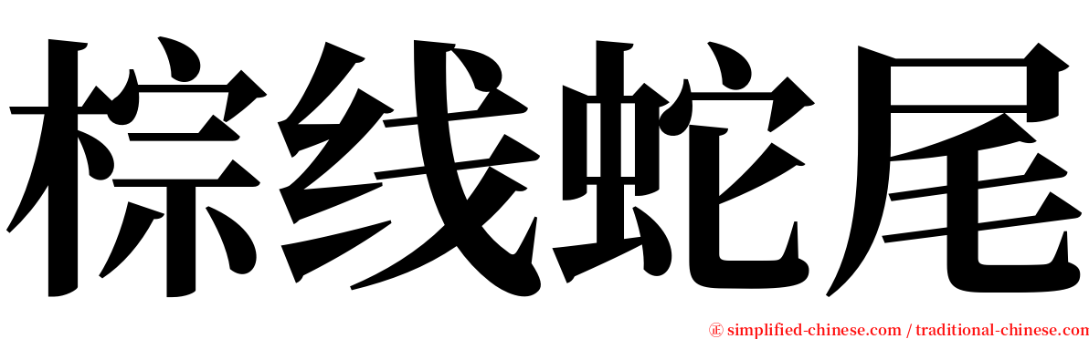 棕线蛇尾 serif font