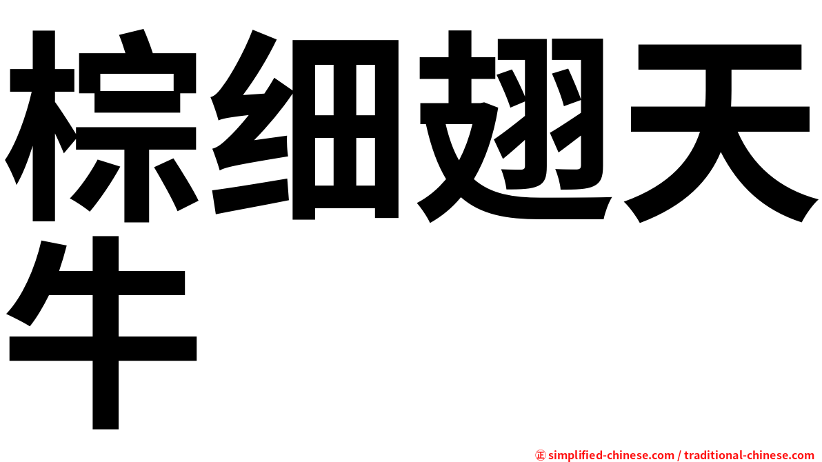 棕细翅天牛