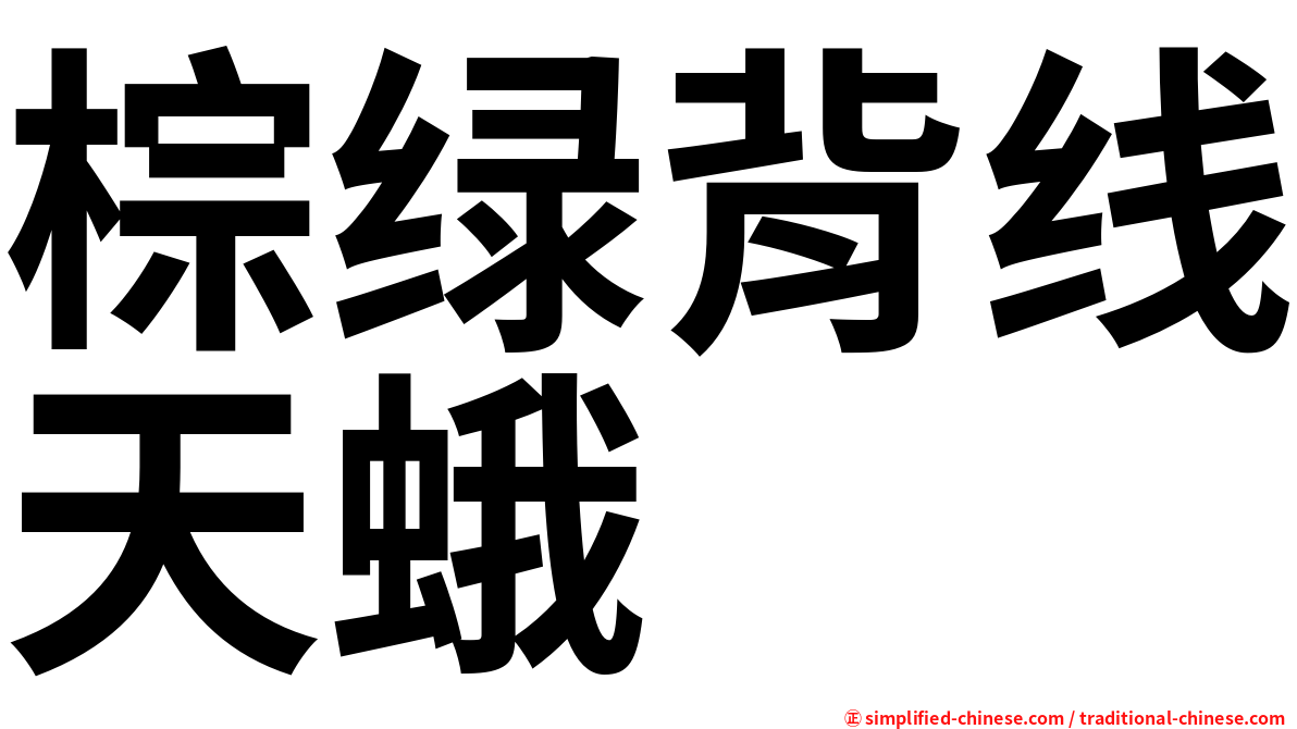 棕绿背线天蛾