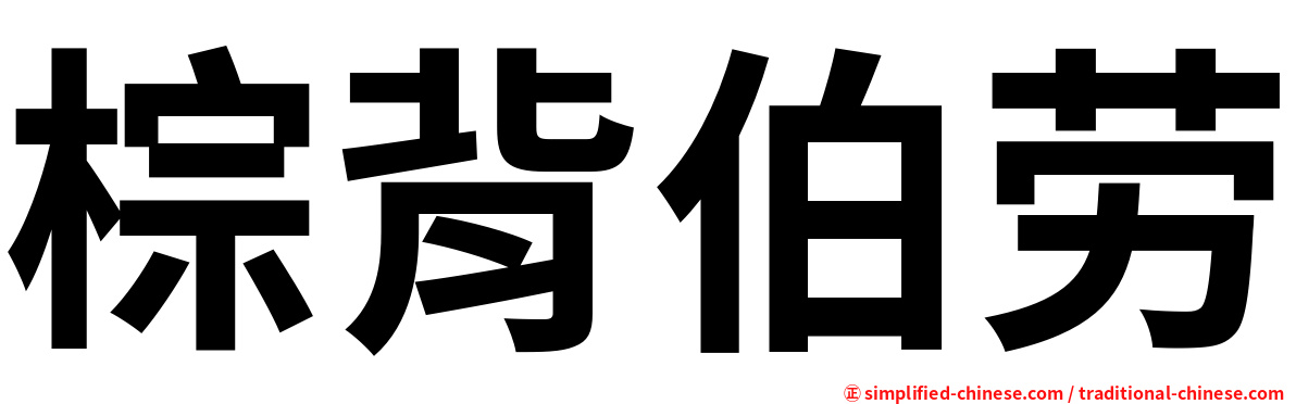 棕背伯劳