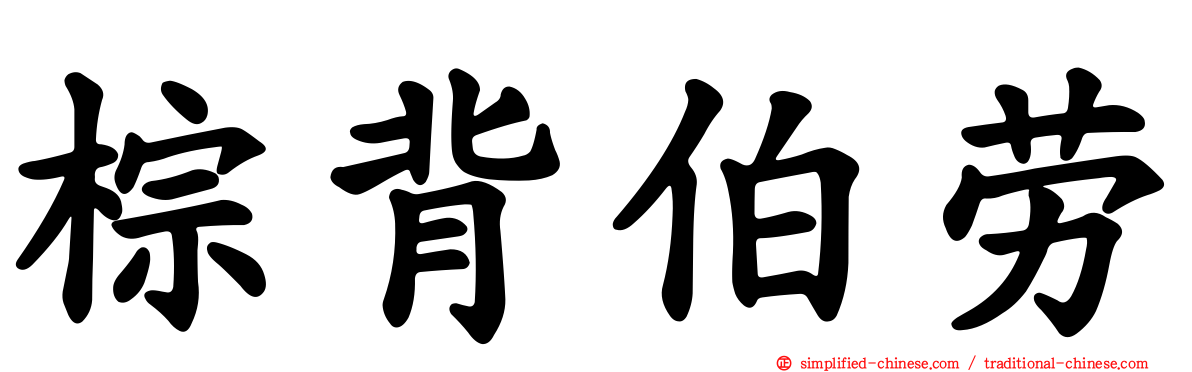 棕背伯劳